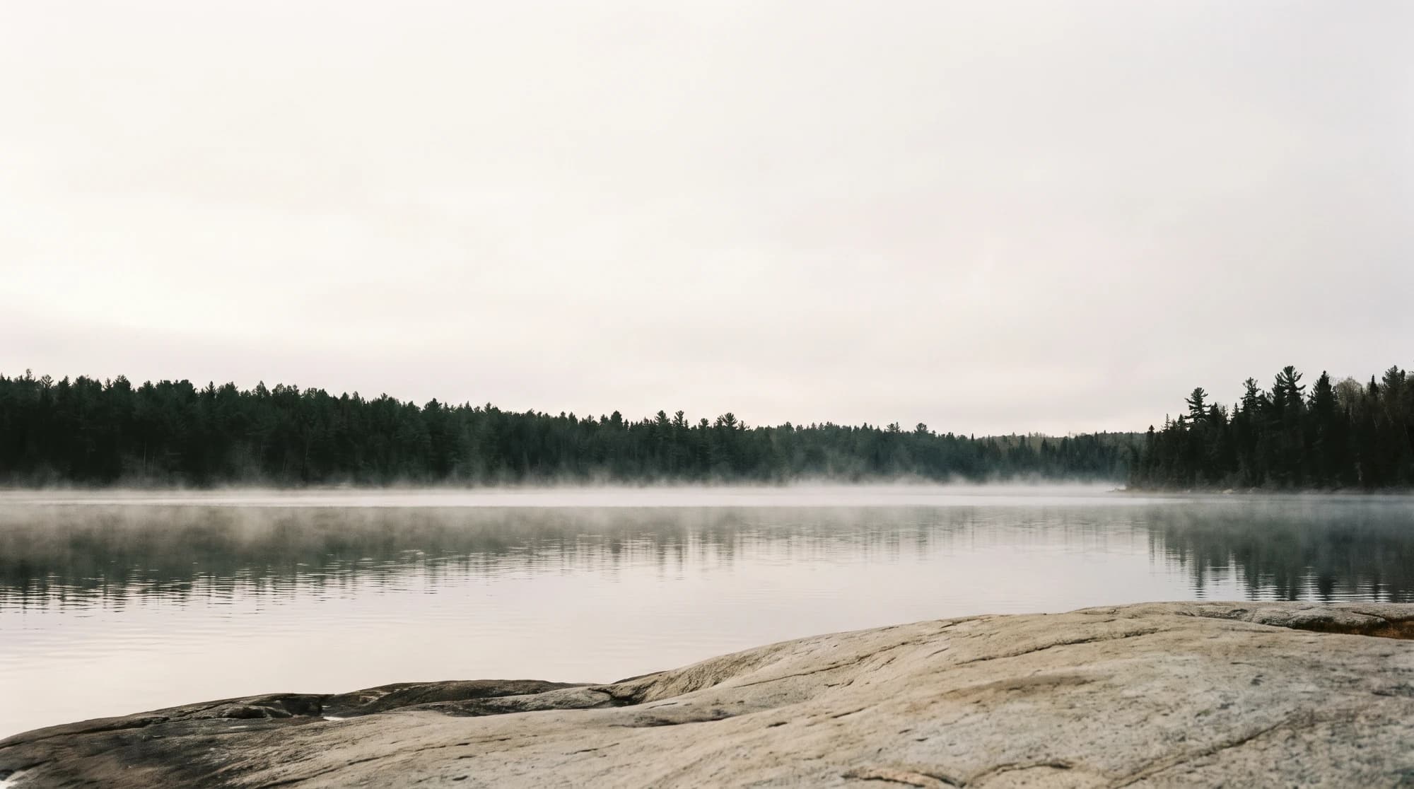 Mist over a still lake at dawn, with pine forest on the far shore